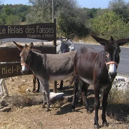 Le Relais Des Faïsses La Vacquerie-et-Saint-Martin-de-Castries