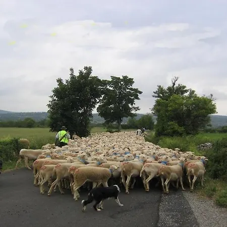 Le Relais Des Faisses Oda ve Kahvaltı *